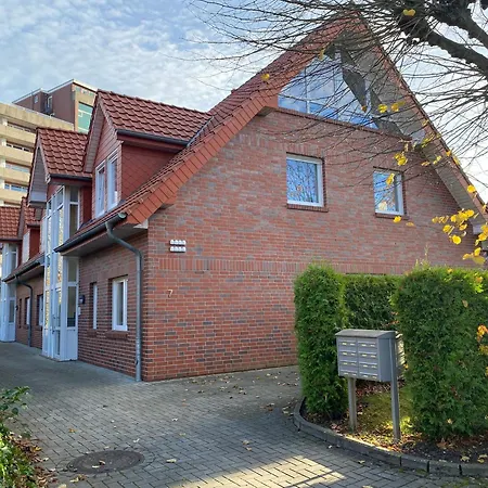 Seehund * הורומרזיל