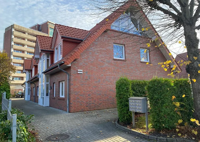 Seehund * Horumersiel